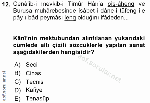 Soru 12