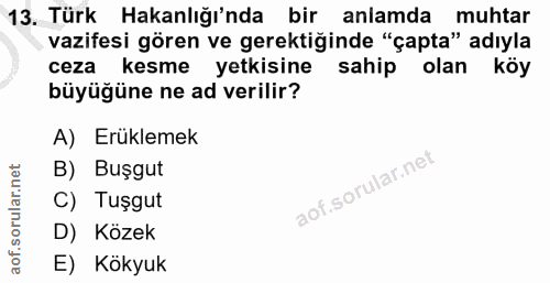 Soru 13