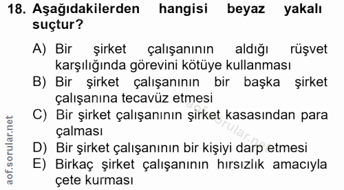 Soru 18