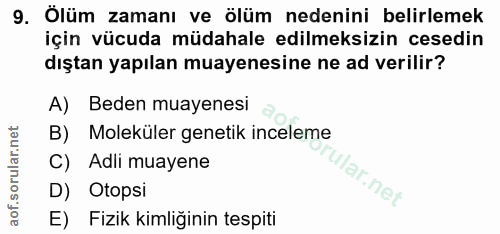 Soru 9