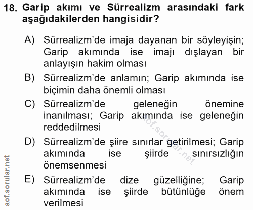 Soru 18