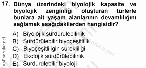 Soru 17