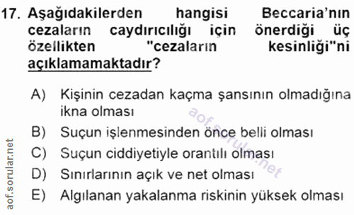 Soru 17