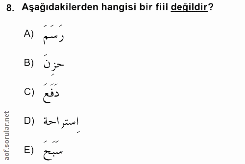 Soru 8