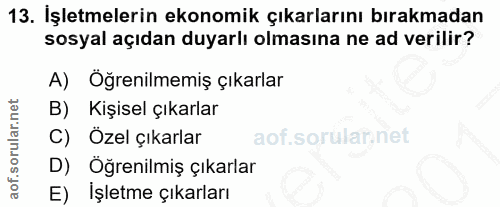Soru 13