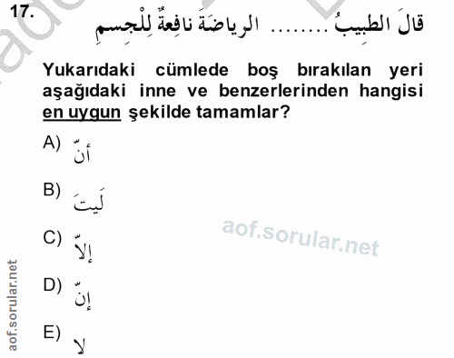 Soru 17