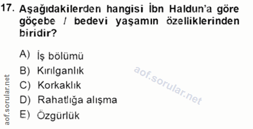 Soru 17