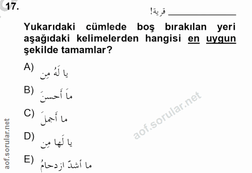 Soru 17