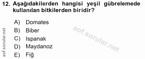 Soru 12