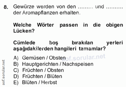 Soru 8