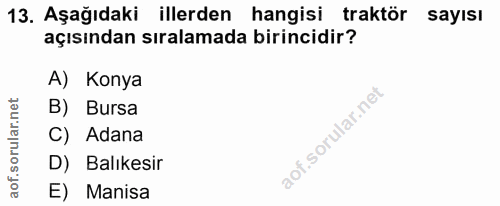 Soru 13
