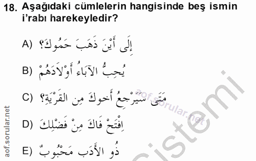 Soru 18