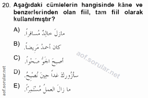 Soru 20