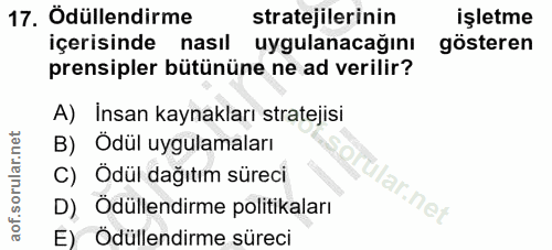 Soru 17