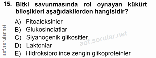Soru 15