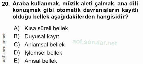 Soru 20