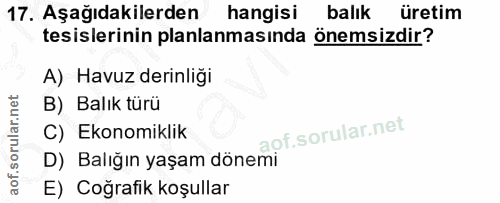 Soru 17
