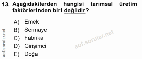 Soru 13