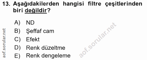 Soru 13