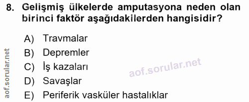 Soru 8