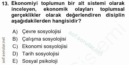 Soru 13
