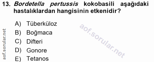 Soru 13