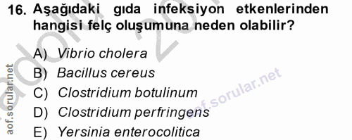 Soru 16