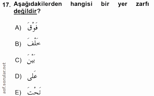 Soru 17