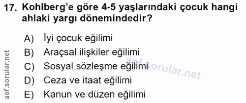 Soru 17