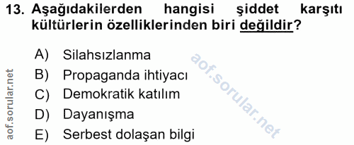 Soru 13
