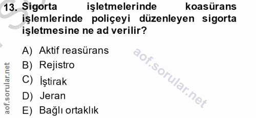 Soru 13