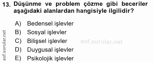 Soru 13