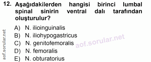 Soru 12