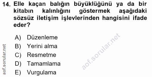 Soru 14