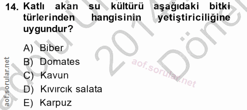 Soru 14