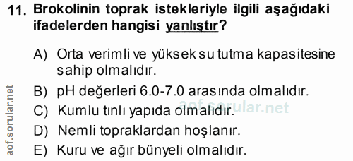 Soru 11
