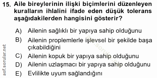 Soru 15