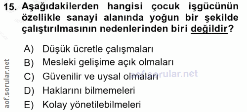 Soru 15
