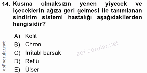 Soru 14