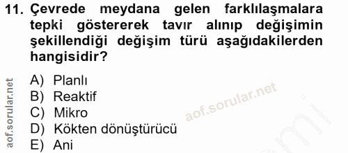 Soru 11