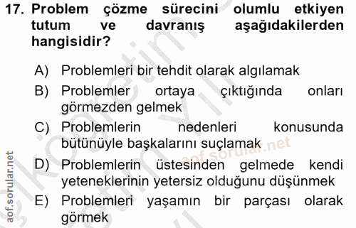 Soru 17
