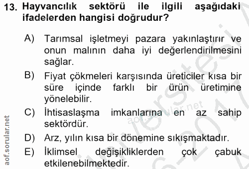 Soru 13