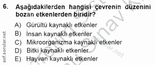 Soru 6
