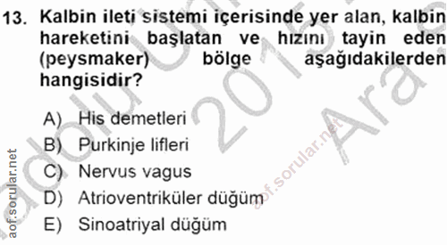 Soru 13