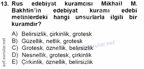 Soru 13