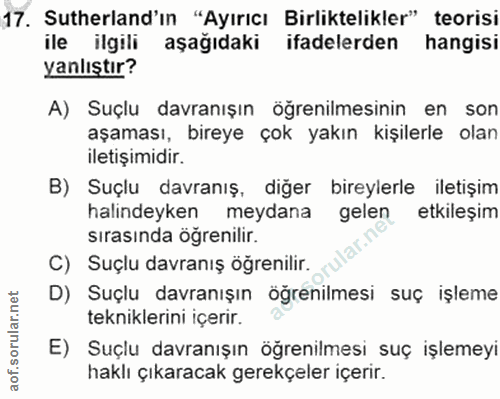 Soru 17
