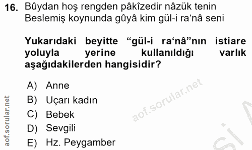 Soru 16