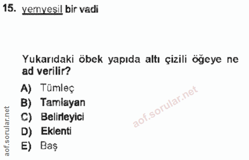 Soru 15