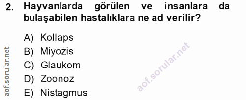 Soru 2