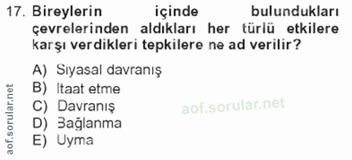 Soru 17